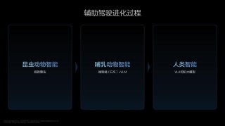 理想汽车发布VLA三级跃迁大模型，智慧革新之旅，从昆虫到人类的智能探索