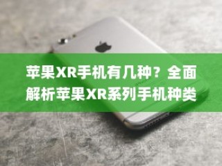 全面解析，苹果XR系列手机种类及其特点