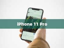 一、iPhone 11 Pro的基本概述