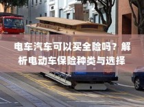 电动车保险全攻略，能否买全险及保险种类解析