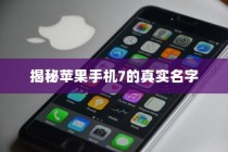 揭秘苹果手机7的真实名字