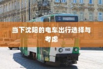 沈阳电车出行选择与考量