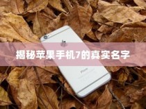 揭秘苹果手机7的真实名字