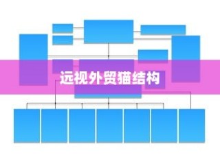 远视外贸猫结构，深度探索、战略洞察与分析