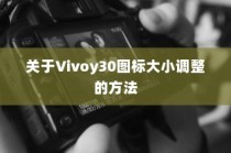 关于Vivoy30图标大小调整的方法