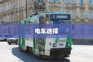 电动车电池选择探讨，九号大电池适用于电车吗？