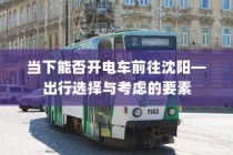 真皮电车坐垫套的通用性与市场探讨