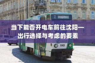 真皮电车坐垫套的通用性与市场探讨
