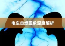 电车自燃现象深度解析，品牌差异及防范策略探讨