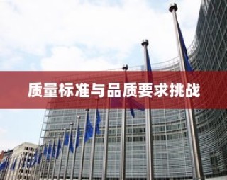 深度解析，外贸鞋业的质量标准与品质挑战探讨