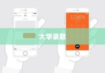 大学录取号码信息查询攻略