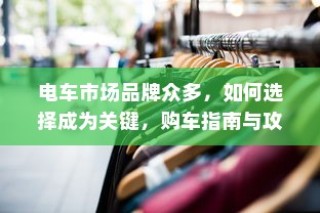 电车市场品牌繁多，购车指南助你明智选择攻略建议！