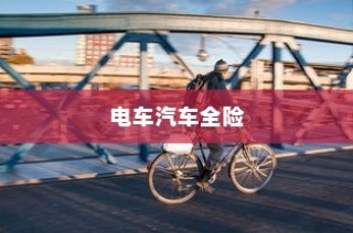 电车汽车全险深度探讨与解析