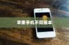 苹果手机卖什么版本，全面解析不同版本的差异与选择