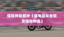 电动车保险全攻略，解析保险种类与全险购买可行性