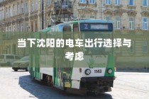 沈阳电车出行选择与考量