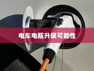 电车自燃现象深度解析，品牌差异及防范策略探讨