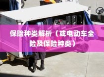 电动车保险全攻略，解析保险种类与全险购买可行性