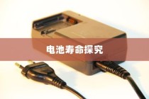 电动车充电频率与电池寿命探究，隔天充电是否可行？