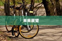 电车为何没有备胎，深度探究原因及未来发展趋势