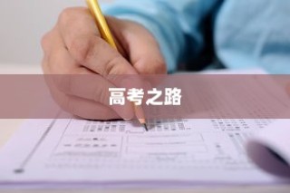 高考路上的坚韧探索，刻苦拼搏铸就辉煌之旅