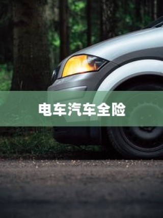 电车汽车全险深度探讨与解析