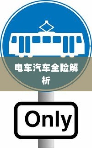 电车汽车全险解析与选购指南