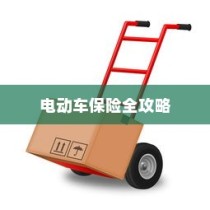 电动车保险全攻略，能否买全险及保险种类解析