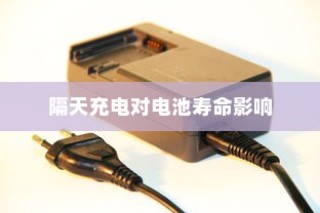 电车充电习惯探究，隔天充电对电池寿命的影响分析