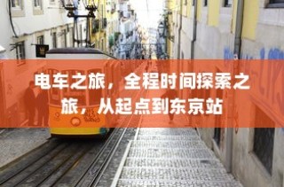 电动车电池破损保险深度解析与应对策略探讨