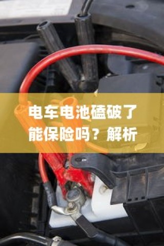 电动车电池破损保险深度解析与应对策略探讨
