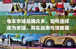 电车市场品牌繁多，购车指南助你明智选择攻略建议！