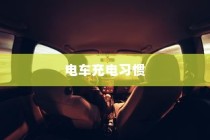 探讨电车充电习惯与最佳实践，隔天充电是否可行？