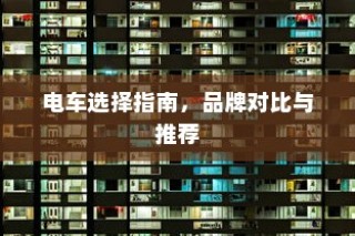 九号大电池电车性能深度解析，优势与注意事项一览
