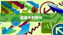 大学录取失利后的反思与启示，逆境转折之路