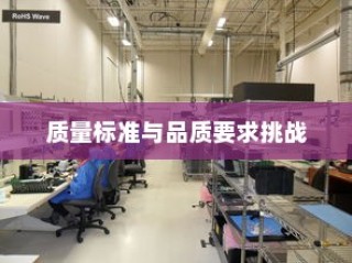 深度解析，外贸鞋业的质量标准与品质挑战探讨