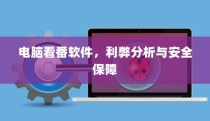 电脑看番软件的利弊分析与安全保障探讨