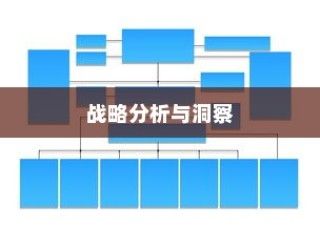 远视外贸猫结构，深度探索、战略洞察与分析