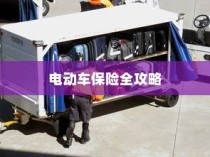 电动车保险全攻略，解析保险种类与全险购买可行性
