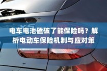 电动车电池破损保险解析，保险机制及应对策略探讨