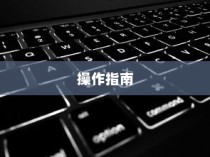 WPS替换快捷键介绍，详解与操作指南