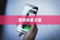 苹果手机原名的探索之旅