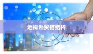 远视外贸猫结构，深度探索、战略洞察与分析