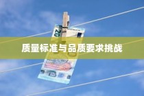深度解析，外贸鞋业的质量标准与品质挑战探讨