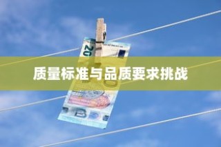 深度解析，外贸鞋业的质量标准与品质挑战探讨