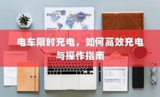 真皮电车坐垫套的通用性及其市场探讨