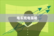 斯里兰卡购买电车是否划算，深度解析与建议探讨购买电车利弊