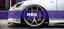特斯拉，世界上最出名的新能源车企，美国电动汽车的领跑者
