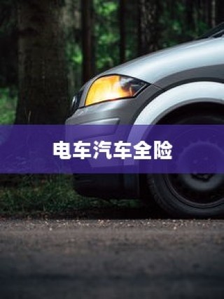 电车汽车全险深度探讨与解析