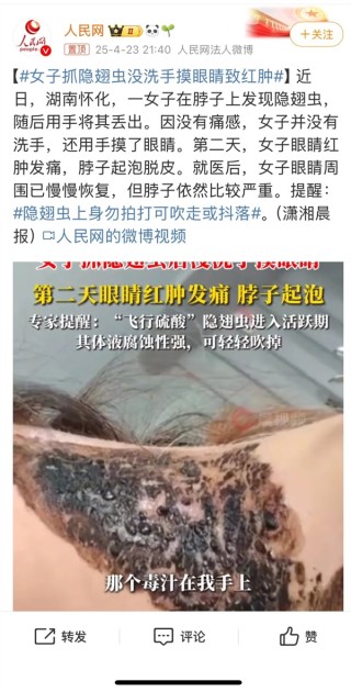 警惕！活跃虫子易致‘毁容’，遇到千万别拍打